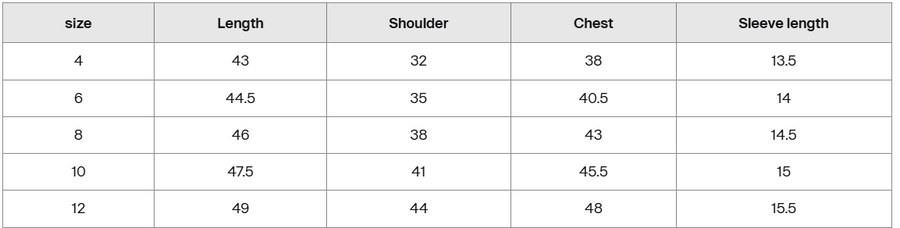Size guide for Amen Crop T-Shirt